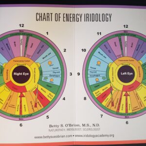 Chart of Energy Iridology